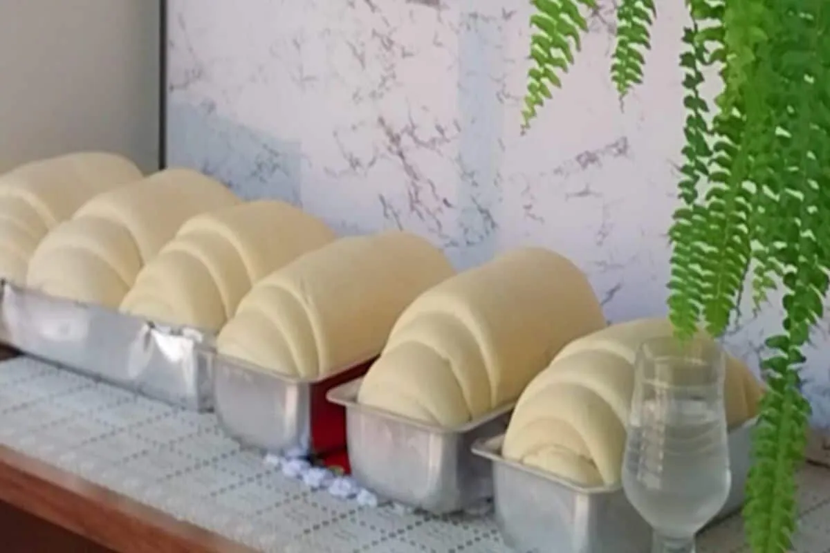 Pão caseiro fofinho que perfuma a casa, rende bem e vai bem com doce ou salgado