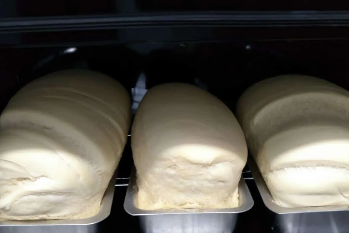 Pão caseiro rápido que cresce muito: aprenda o segredo para você acertar sempre