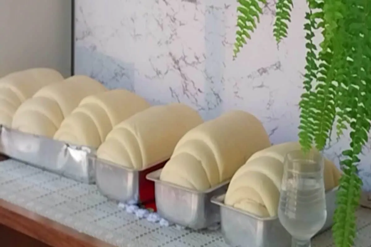 Pão caseiro: receita econômica, fácil de preparar e com o segredo para crescer bastante