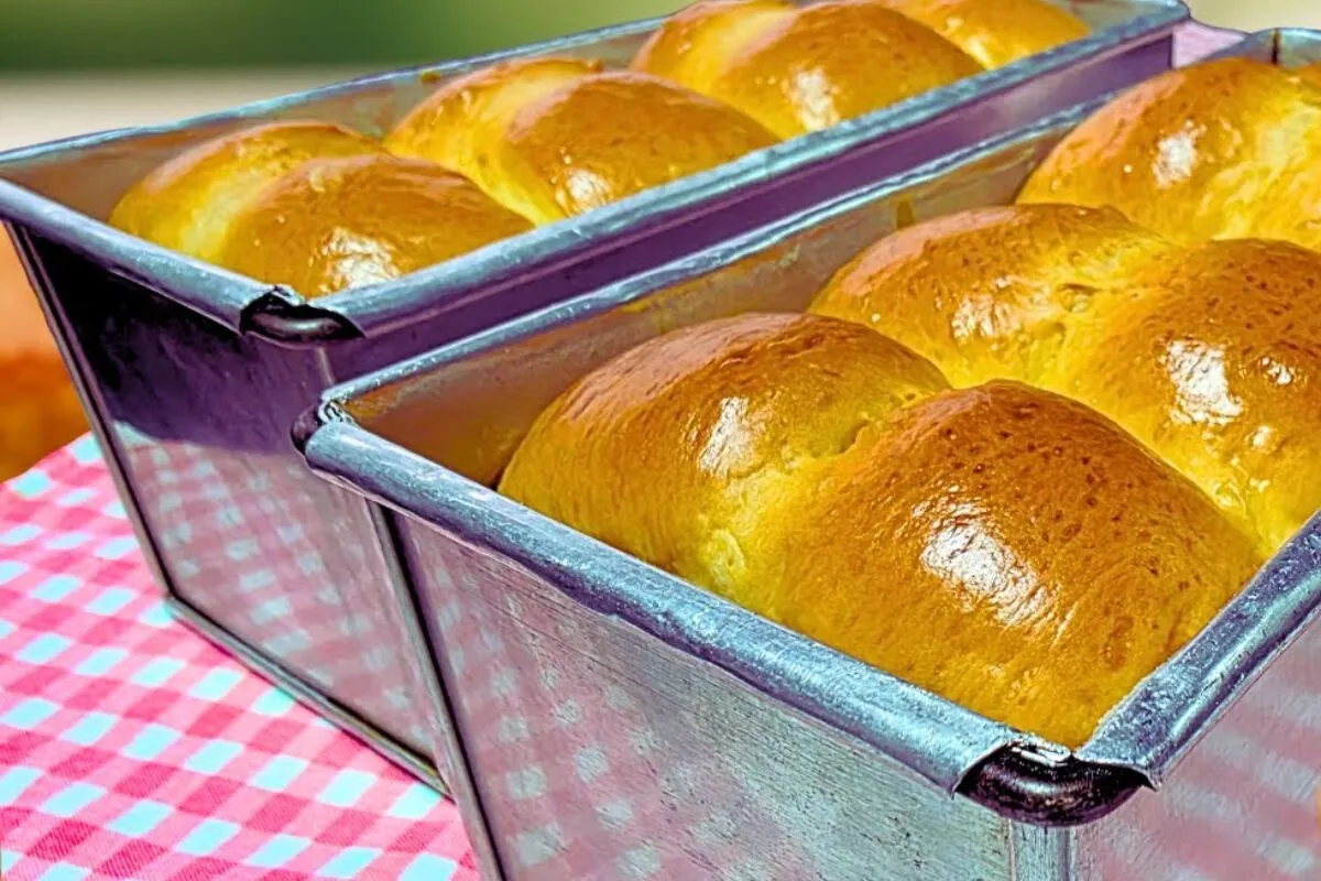 Pão tipo brioche fofinho e leve o mais gostoso que você vai fazer na sua casa