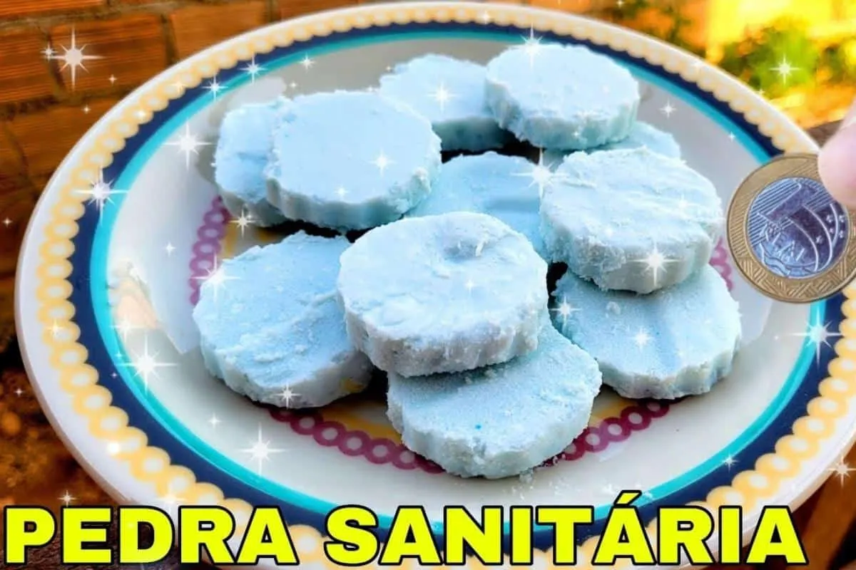 Pedra sanitária caseira: assim fica muito mais fácil economizar dinheiro no mercado