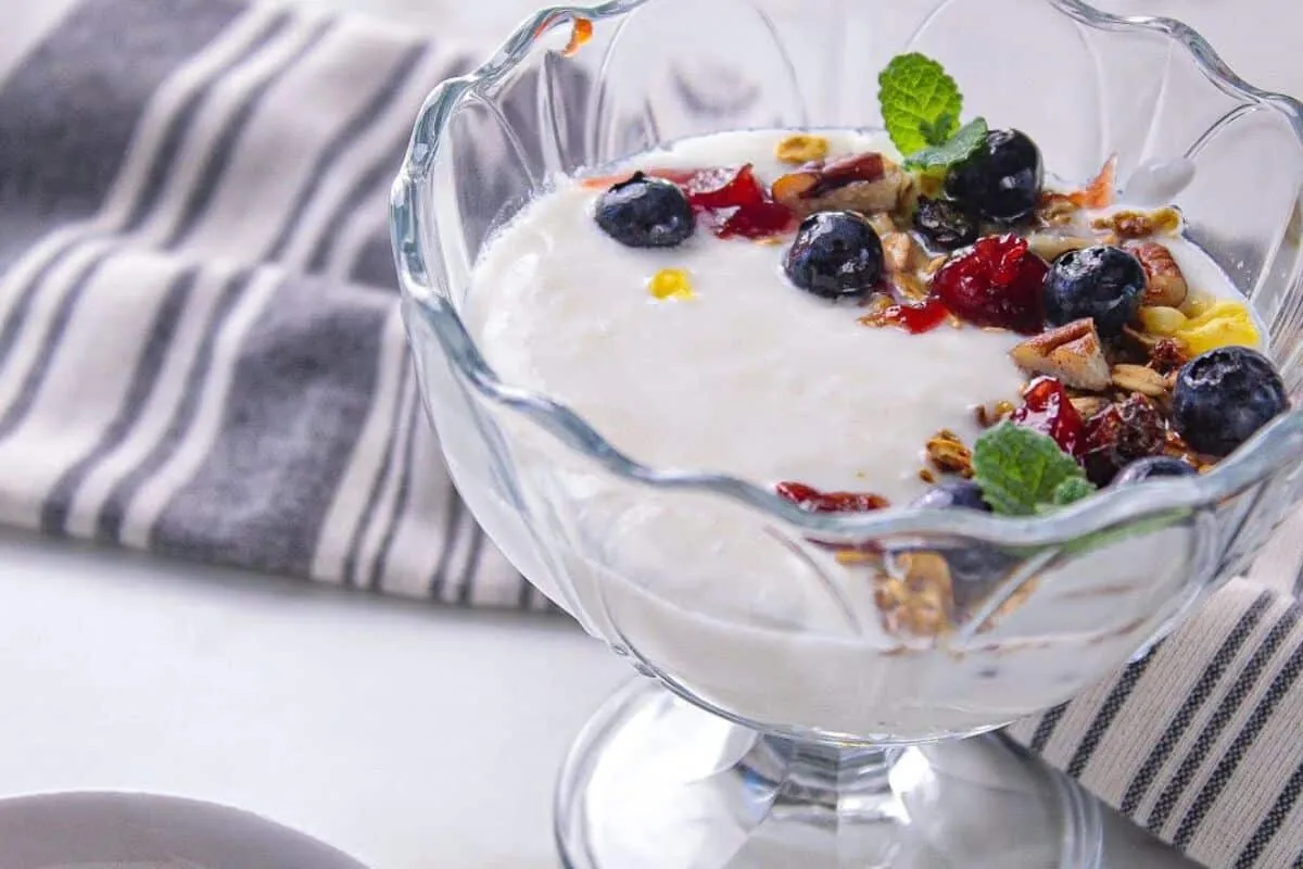 Prepare seu iogurte caseiro com apenas 2 ingredientes para um café da manhã de fim de ano mais saudável
