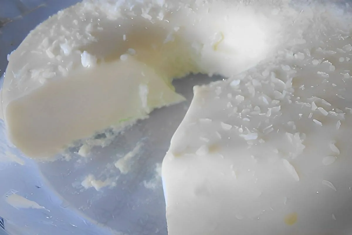 Pudim de maria mole com coco simples e prático sem ovos e não vai ao forno