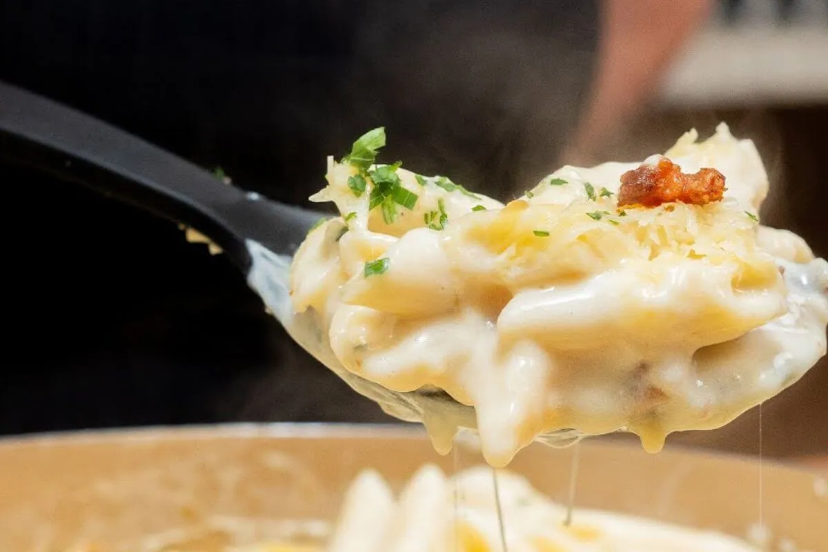 Receita de chef: macarrão com creme de batata cremoso e muito bom para o almoço