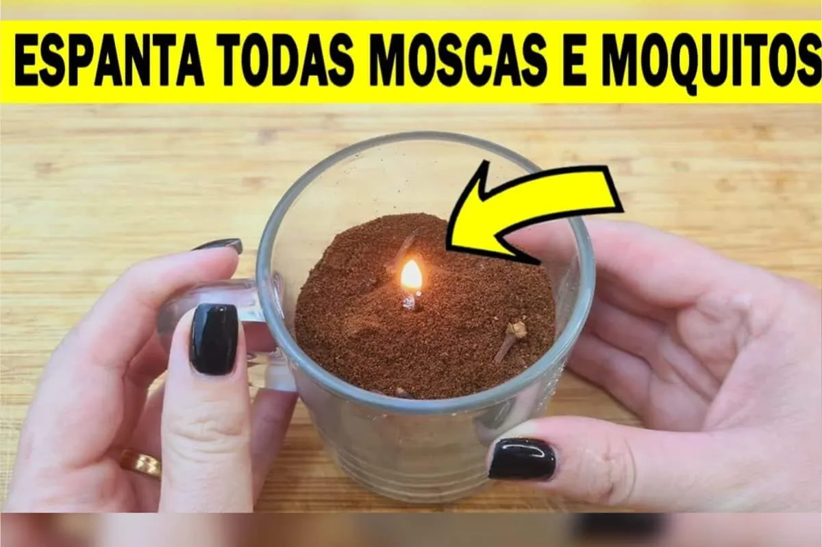 Repelente de mosquitos caseiro: espanta os insetos e ainda ajuda sua casa a ficar cheirosa
