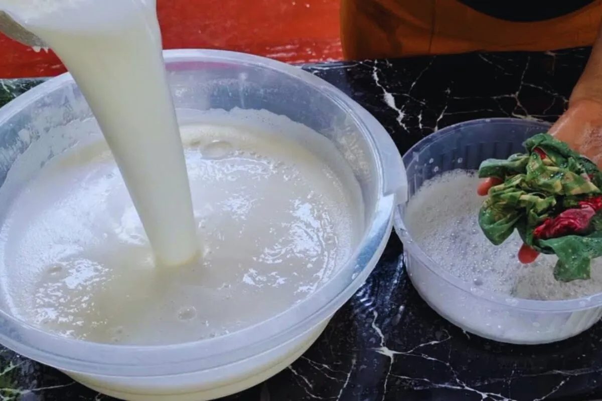 Sabão de coco caseiro: espuma muito e deixa suas roupas muito mais limpas e perfumadas