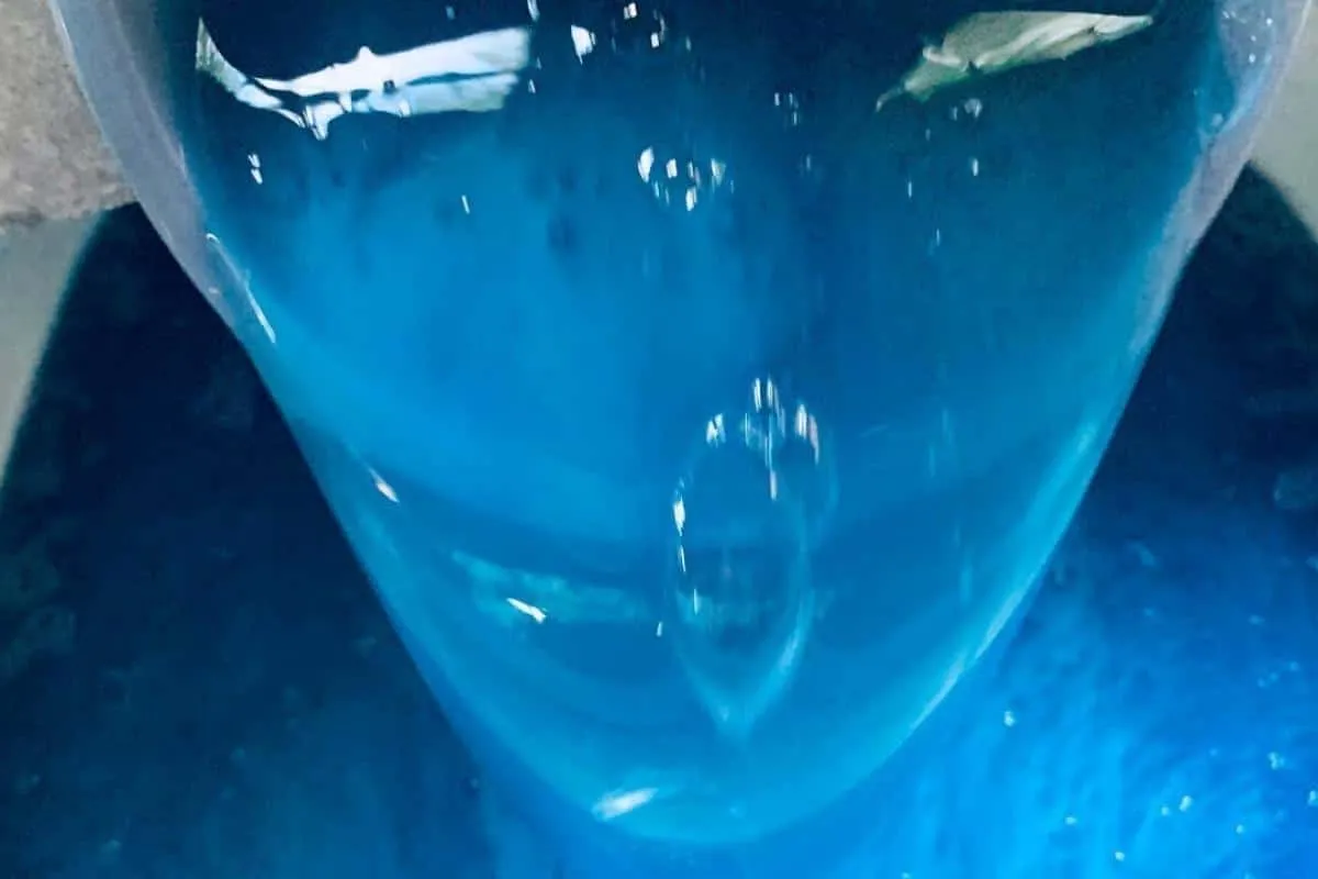 Sabão líquido caseiro concentrado: ótima dica de economia de tempo e dinheiro