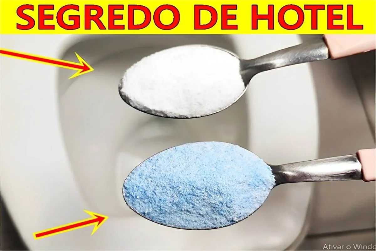 Segredo das melhores diaristas para limpar o banheiro da sua casa