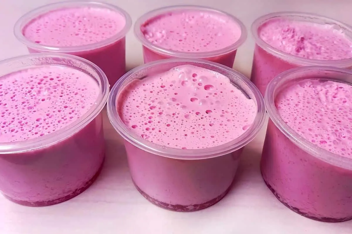 Sobremesa de 2 ingredientes sem leite condensado, que é econômica, rápida e deliciosa