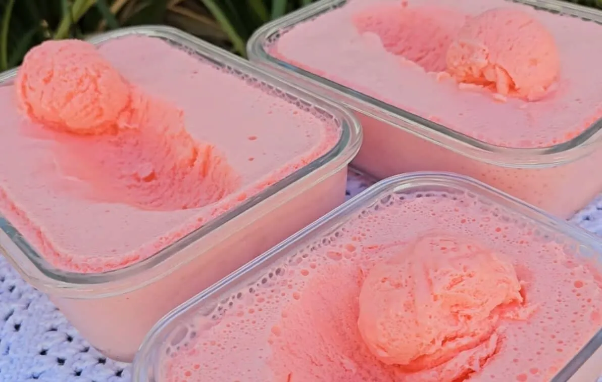 Sorvete caseiro com gelatina: faça mais de 3 litros de sorvete delicioso com apenas 1 pacote de gelatina