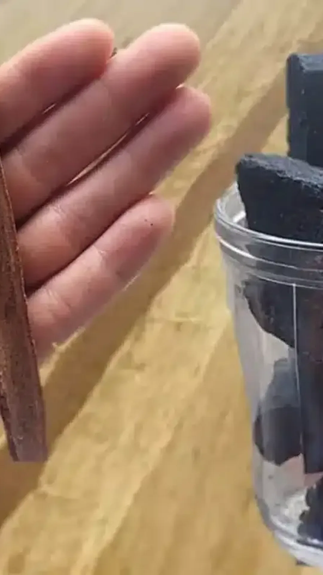 Adubação caseira para plantas: essa solução de liquidificador vai fazer milagres no jardim
