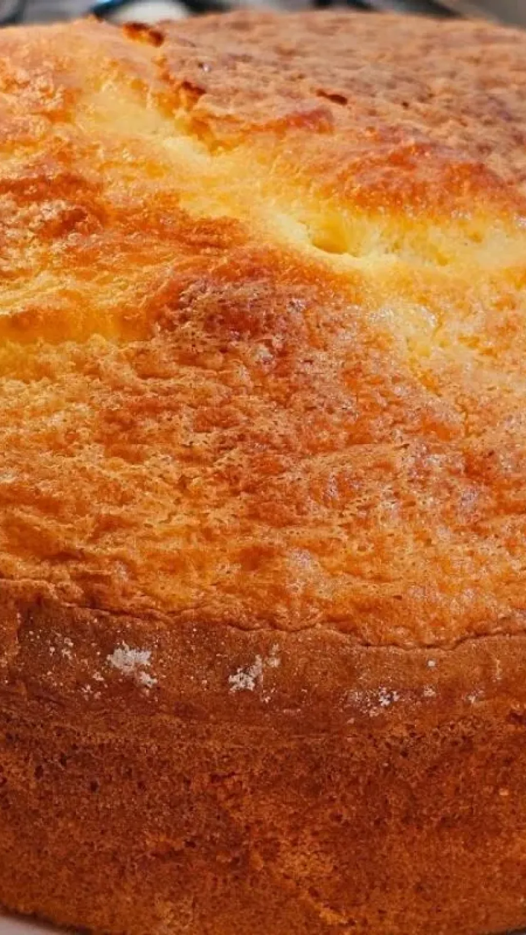 Bolo algodão sem trigo leve e macio que vai fazer sucesso na mesa de café da manhã