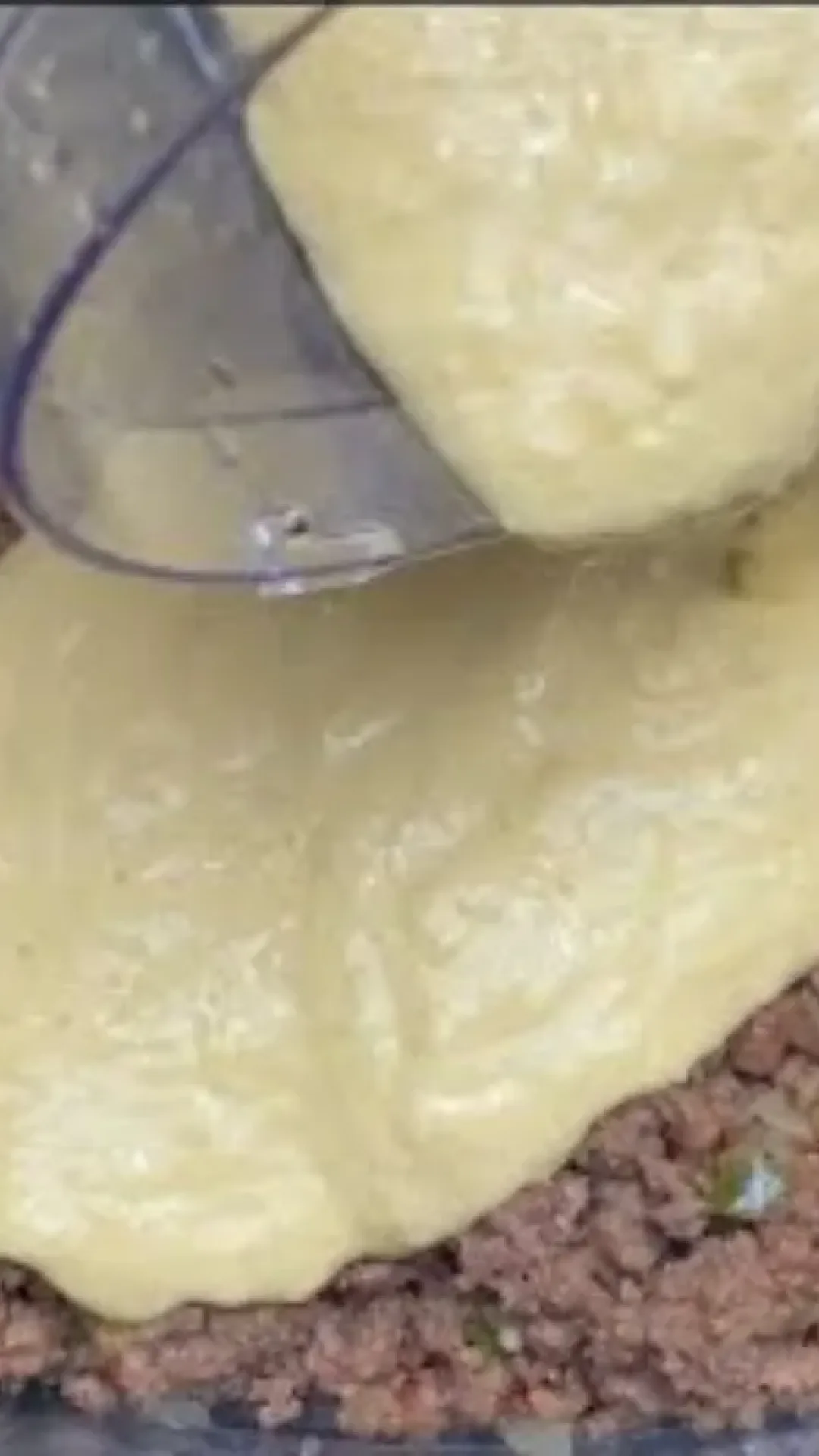 Carne moída no forno diferente de todas que você já viu e fica uma maravilha