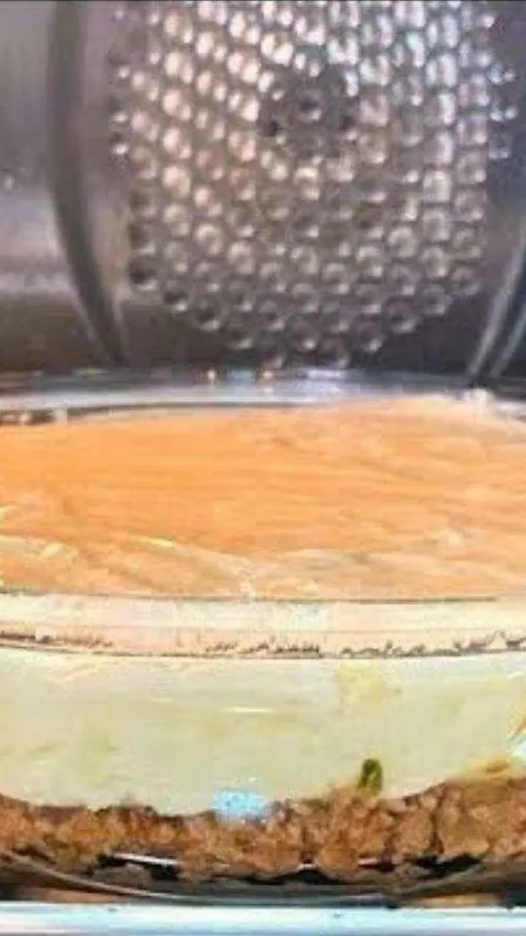Carne moída no forno uma receita deliciosa e econômica para o seu almoço de família