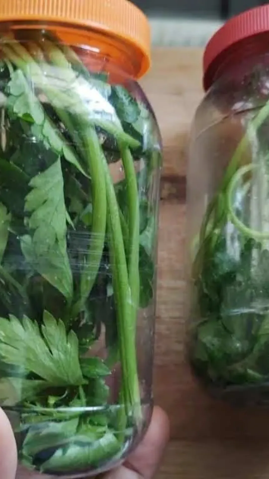 Como conservar cheiro verde sem congelar: técnica infalível e super fácil