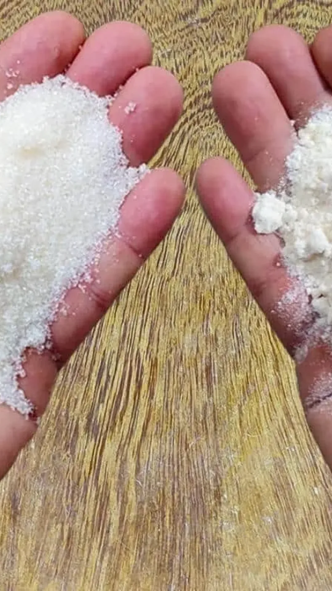 Como eliminar insetos da sua cozinha e toda sua casa sem precisa passar veneno