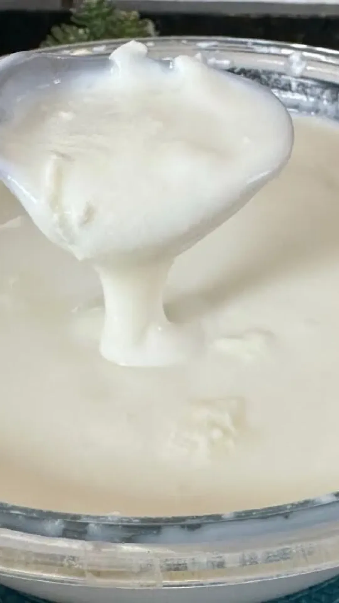 Como fazer iogurte natural: receita perfeita para ter um iogurte cremoso e saudável em casa
