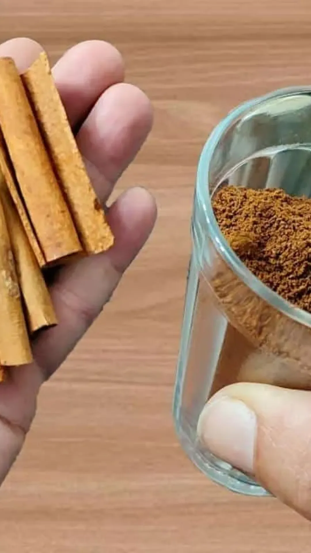 Como fazer planta crescer e florir mais rápido: técnica que dá certo em qualquer estação do ano