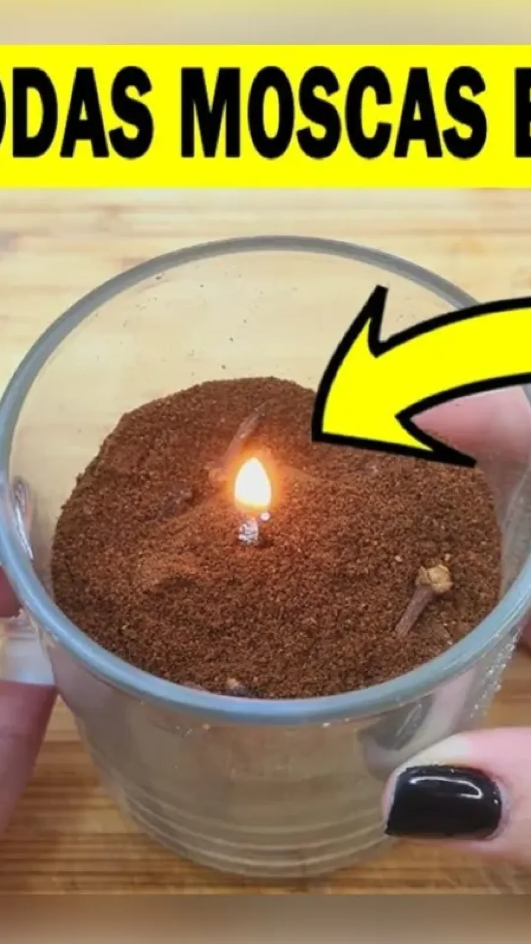 Como fazer um repelente de mosquitos caseiro que vai deixar sua casa livre deles o dia todo