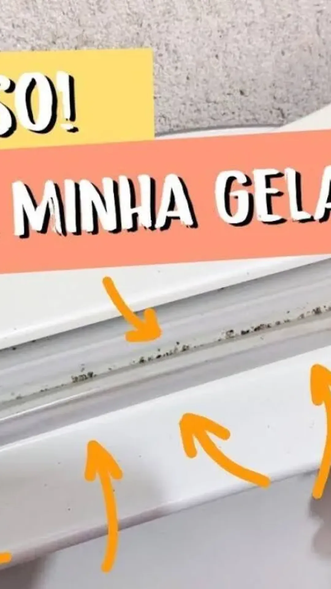 Como limpar borracha da geladeira e retirar o mofo e sujeira de um jeito bem fácil