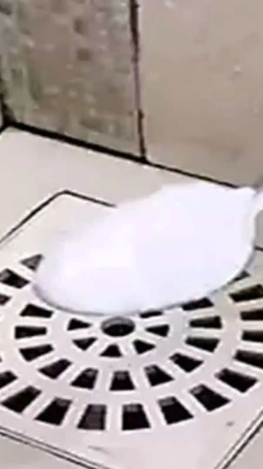 Como limpar ralo do banheiro e tirar todo mau cheiro com um ingrediente que você tem em casa