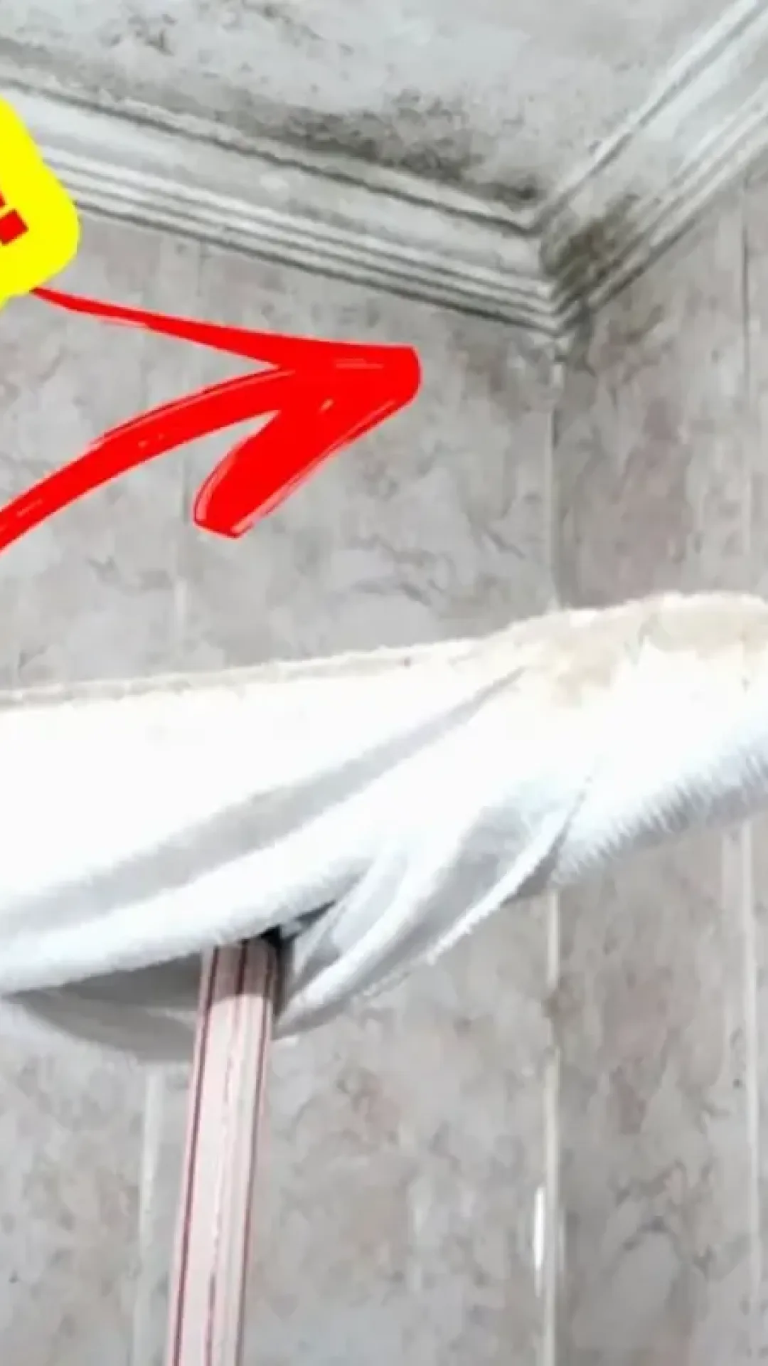 Como remover mofo das paredes: remove tudo sem muito esforço