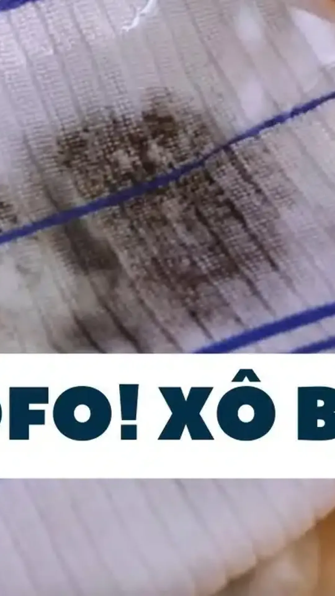 Como tirar manchas de mofo e bolor de toalhas e panos de prato