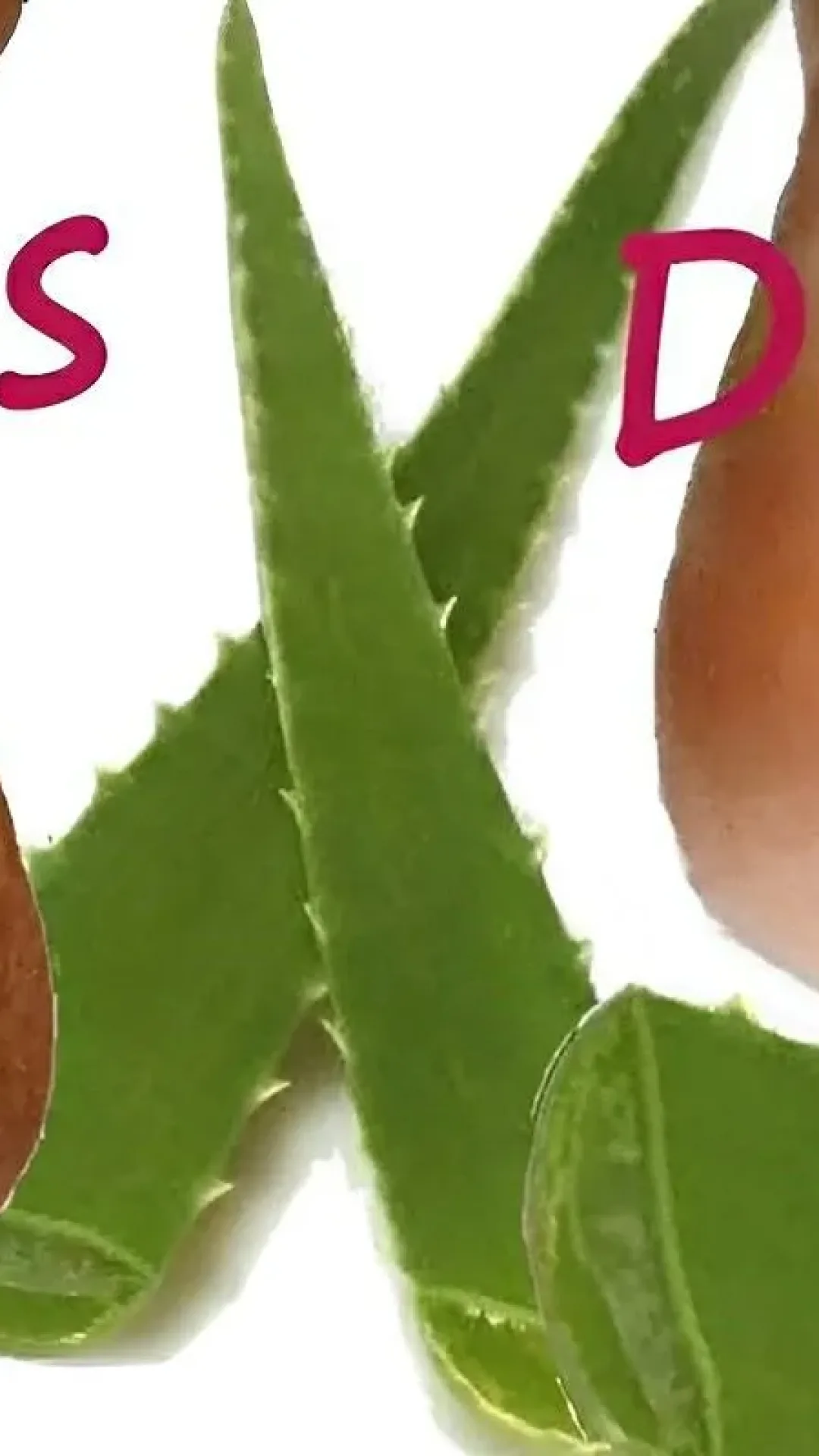 Como tirar rachaduras dos pés sem gastar muito usando apenas ingredientes naturais