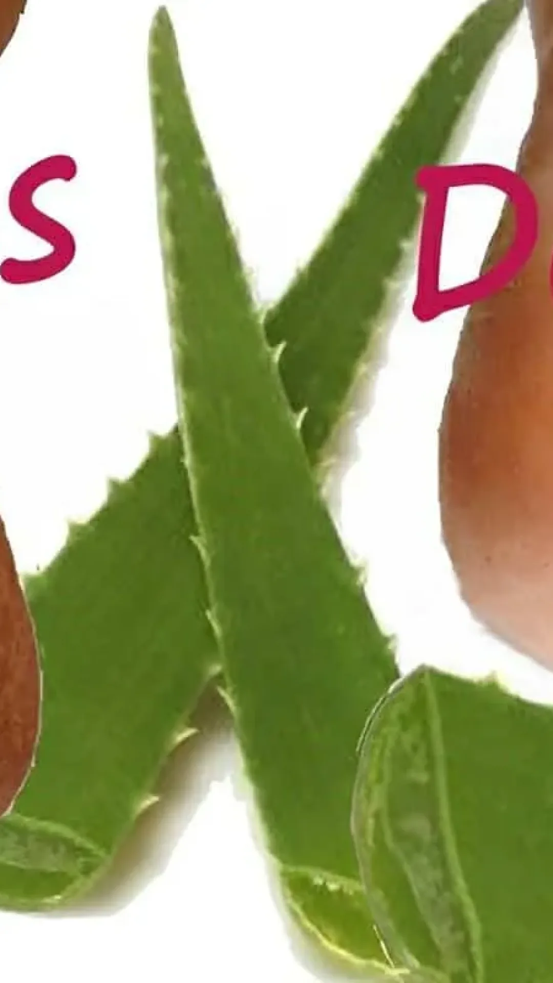 Como tirar rachaduras dos pés usando apenas 3 ingredientes naturais