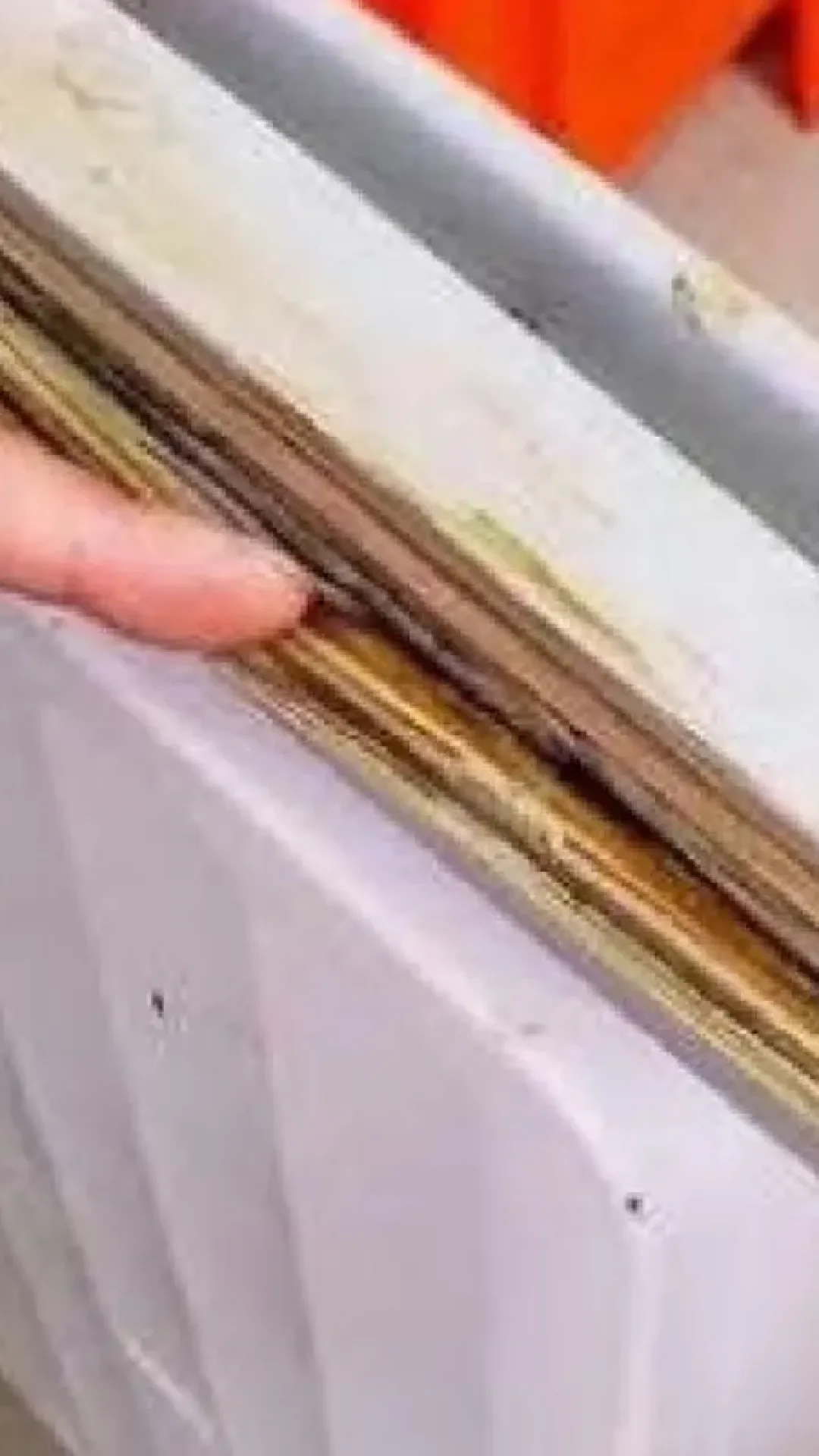Dica para limpar borracha da geladeira: tira todo mofo e sujeira em poucos minutos