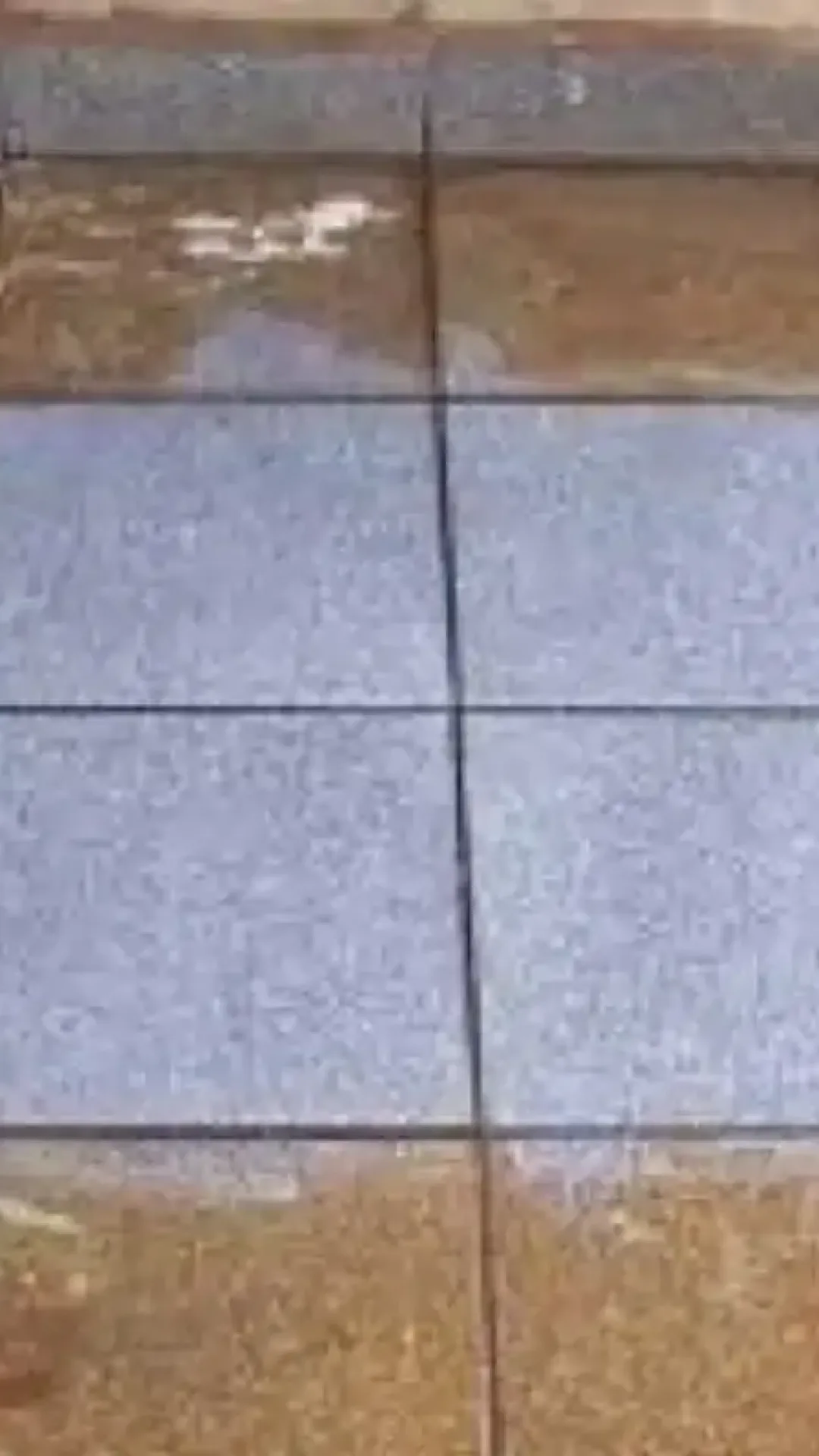 Esse é o melhor limpa pisos caseiro para limpar chão e encardido