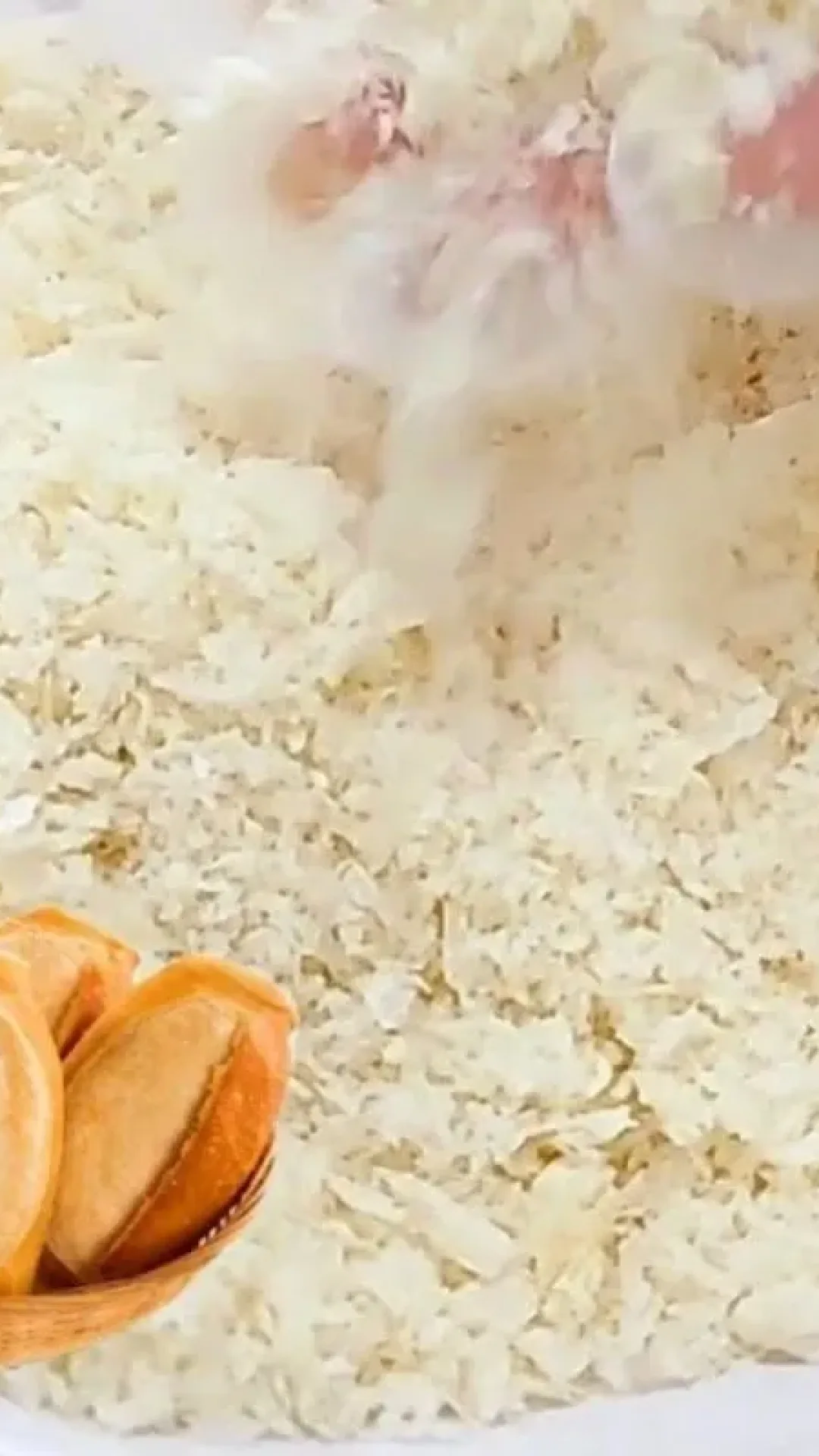 Farofa panko caseira: veja como fazer essa farinha perfeita para fazer seus empanados