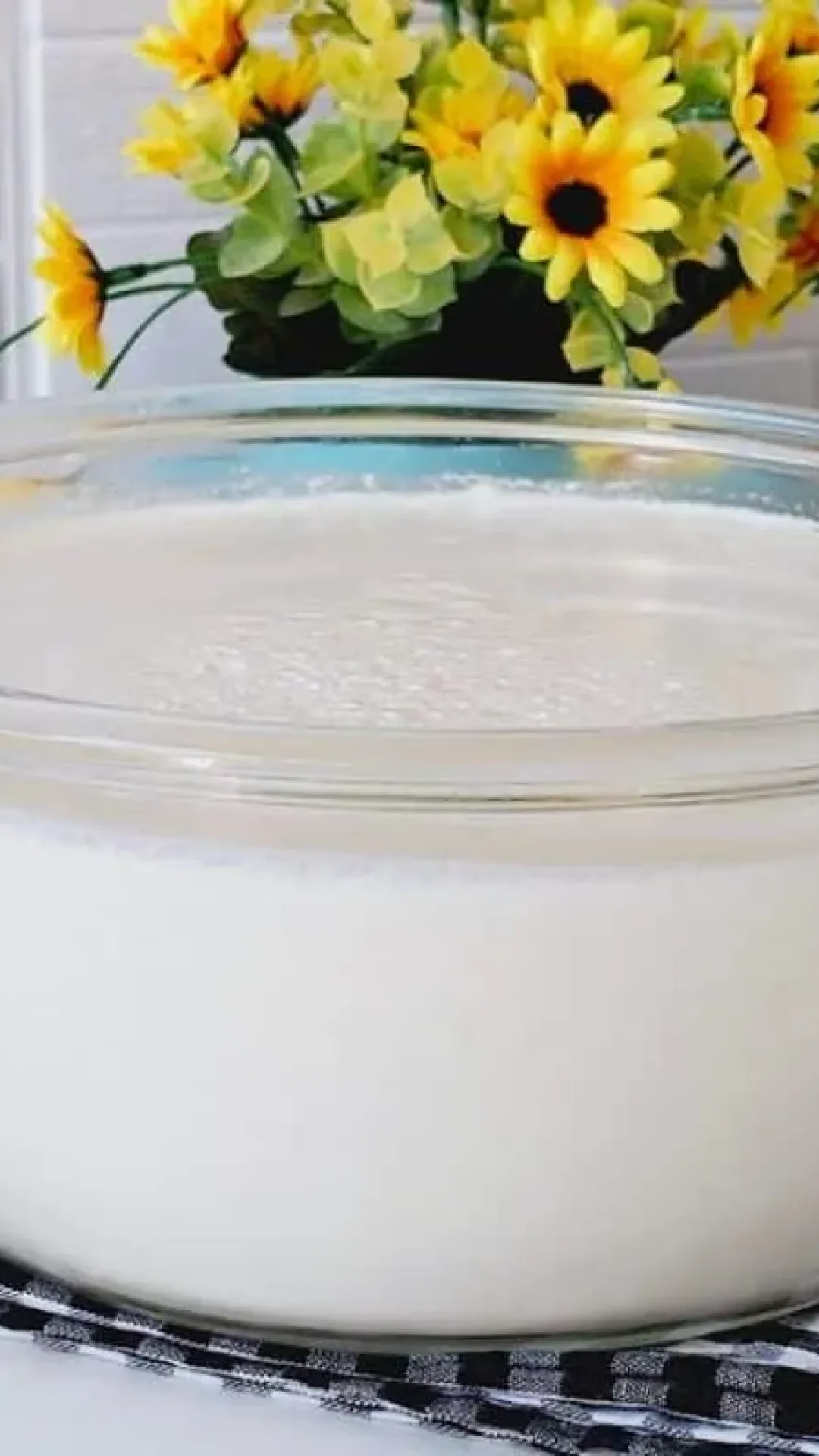 Iogurte caseiro com apenas 2 ingredientes bem consistente e sem soro