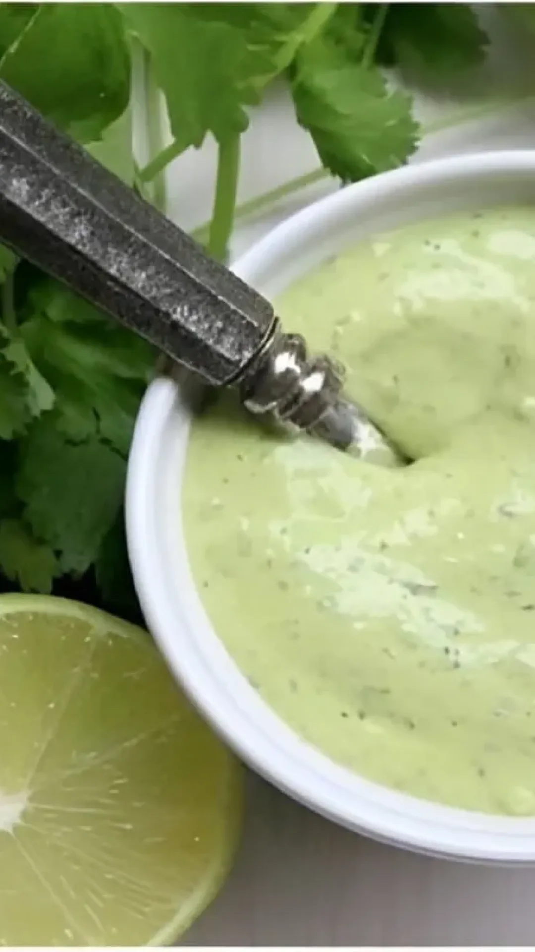 Maionese temperada para lanches ou porções igual de lanchonete simples de fazer