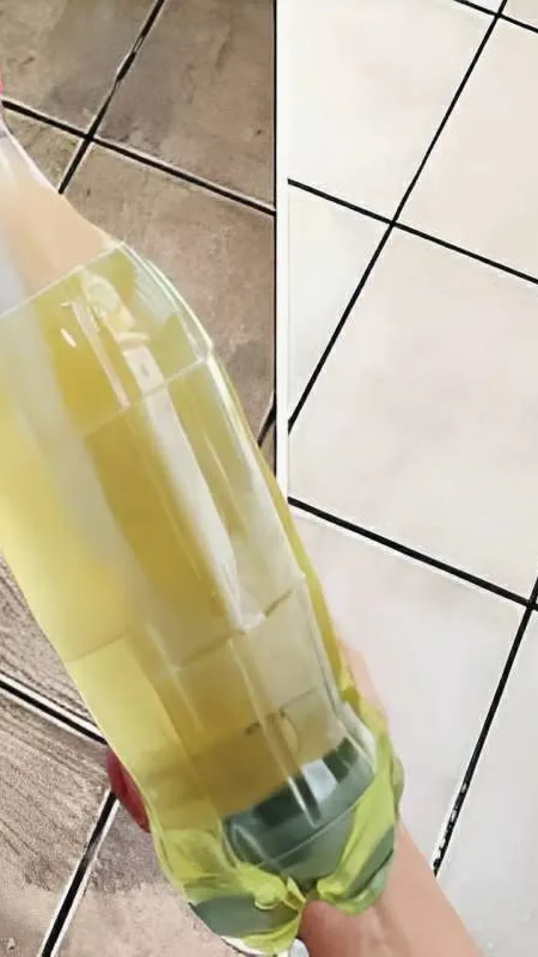 Mistura para limpar piso sujo e afastar ratos e baratas da sua casa