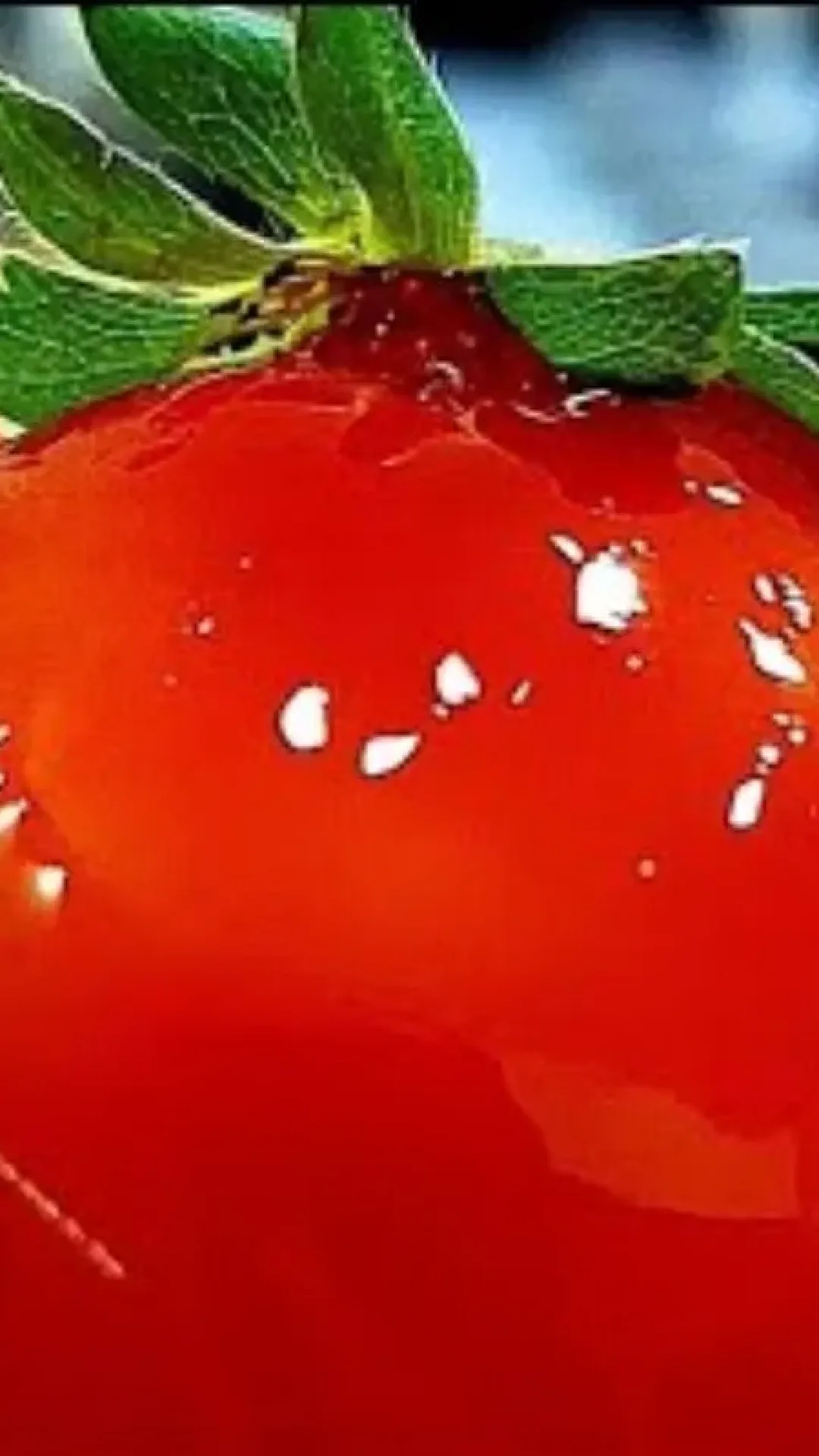 Morango do amor com calda brilhante e crocante que todo mundo ama