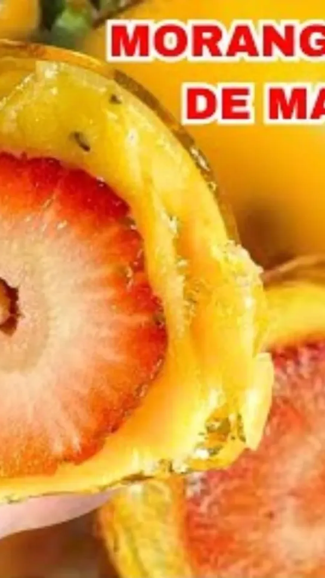 Morango do amor de maracujá que surpreenderá todo mundo na sua casa