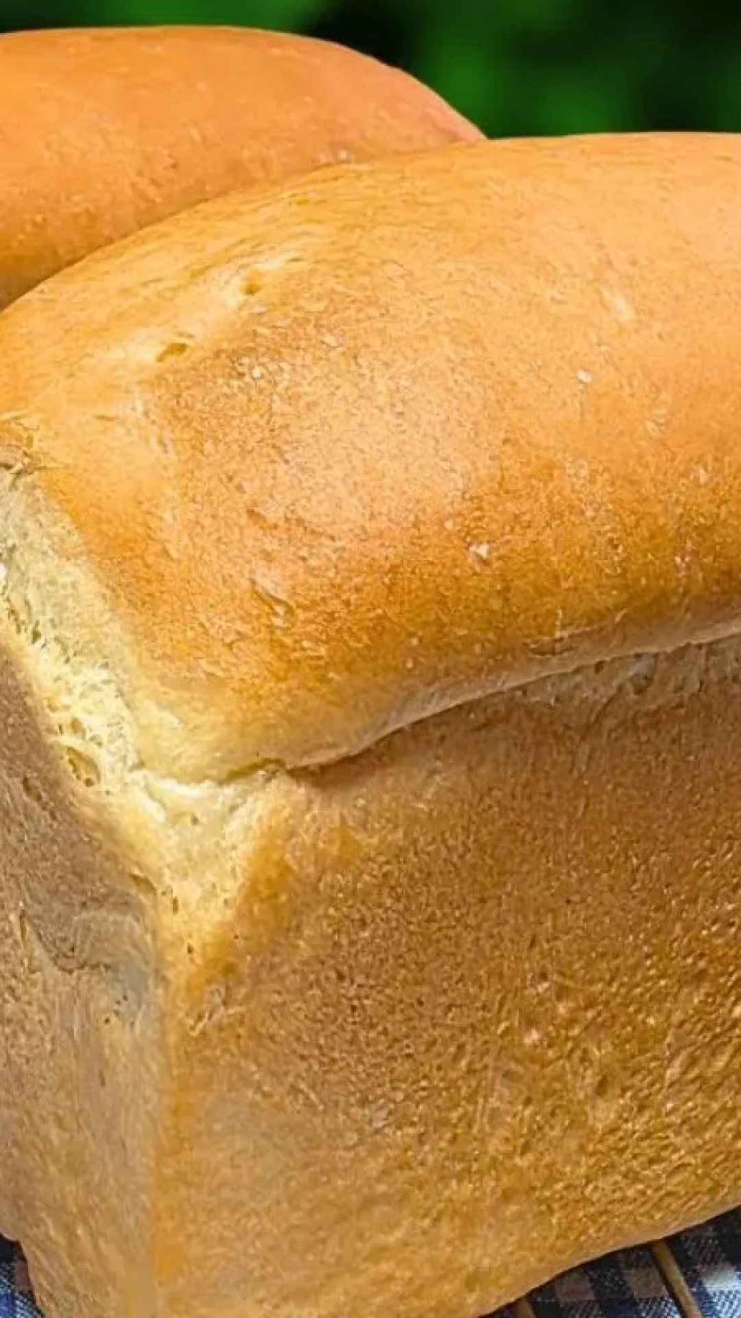 Pão caseiro: a receita mais fácil e famosa que você já viu para fazer um pão muito fofinho e econômico