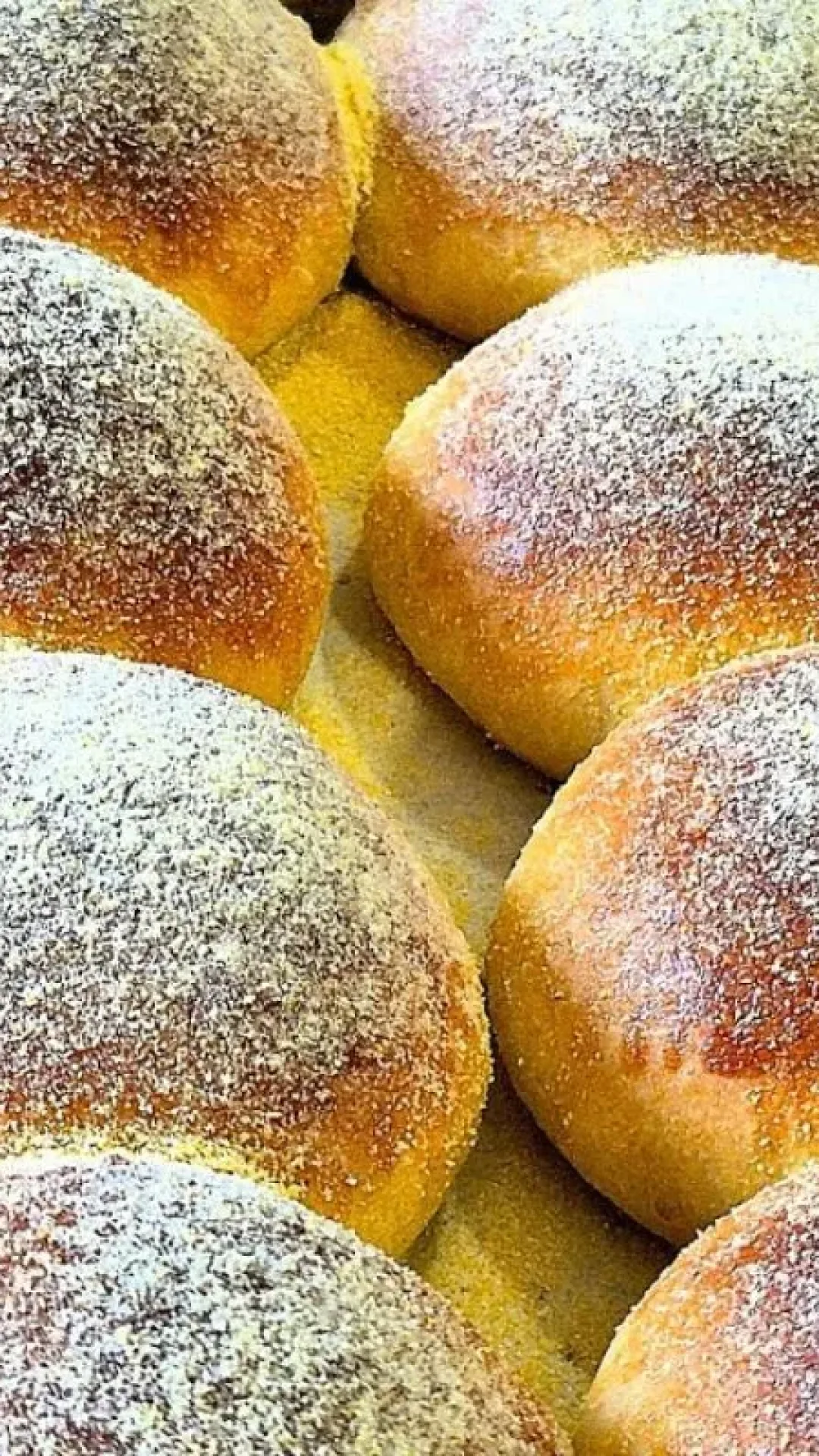 Pão caseiro de milho: faça assim e eles ficarão fofinhos e saborosos para seu café da tarde