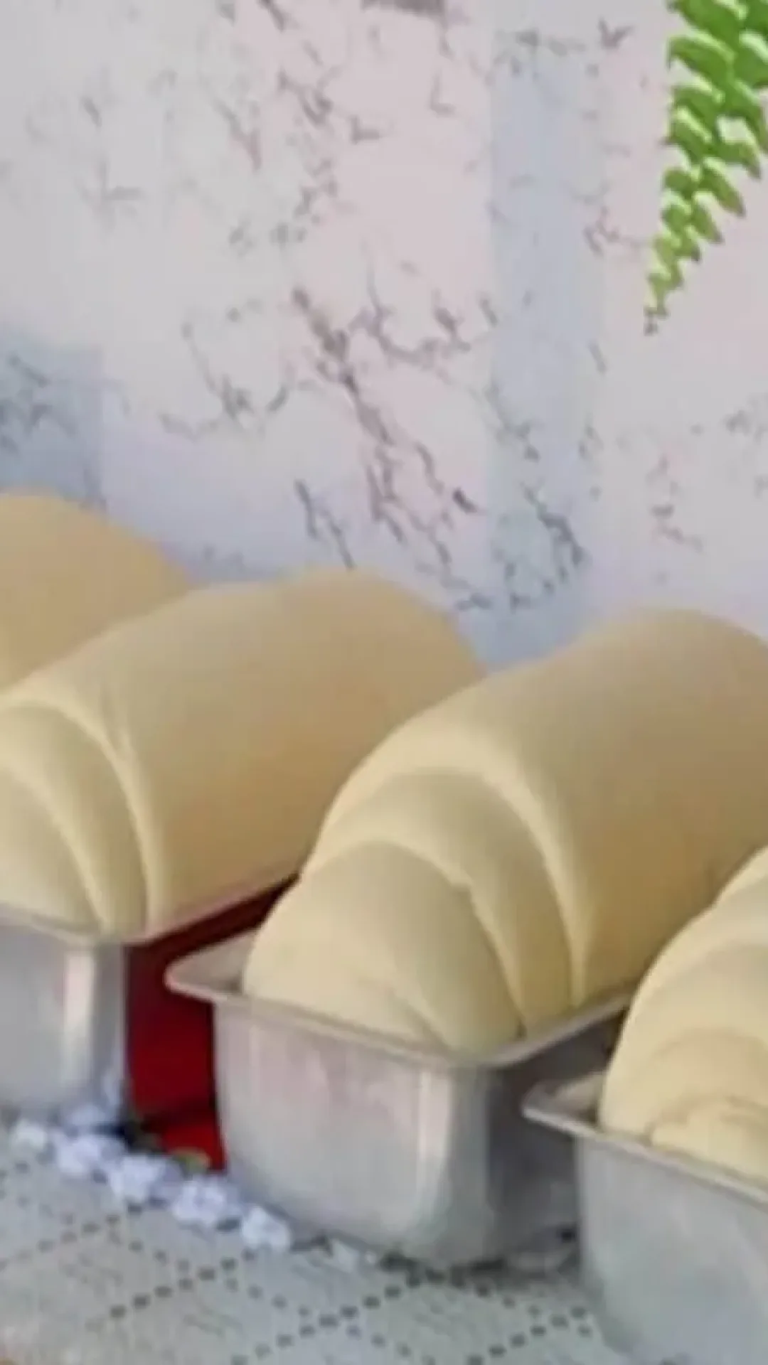 Pão caseiro: receita econômica, fácil de preparar e com o segredo para crescer bastante
