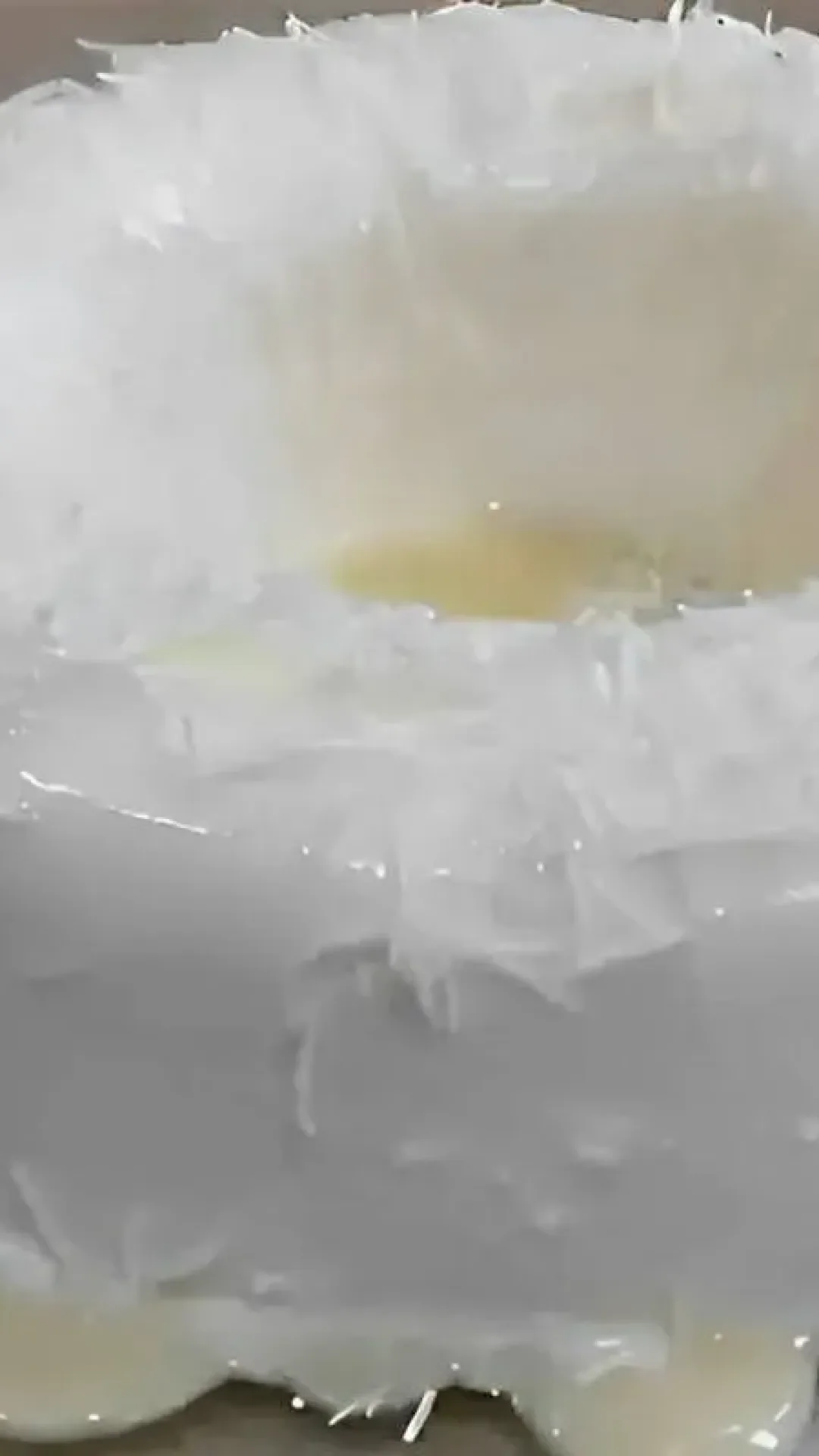 Pudim de coco de geladeira é só bater os ingredientes no liquidificador e levar para gelar