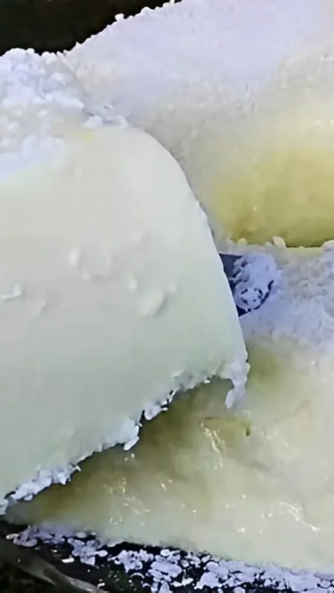 Pudim de coco sem ovos e sem forno é só bater os ingredientes e levar para a geladeira