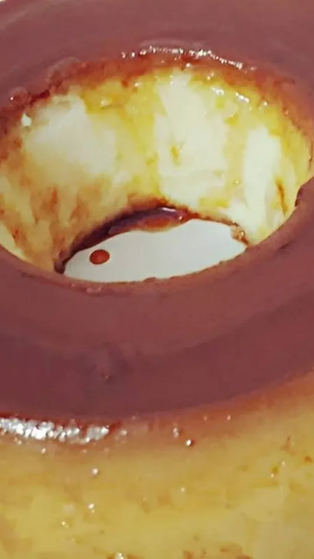 Pudim engana visita delicioso não quebra e leva um ingrediente secreto que você tem no armário