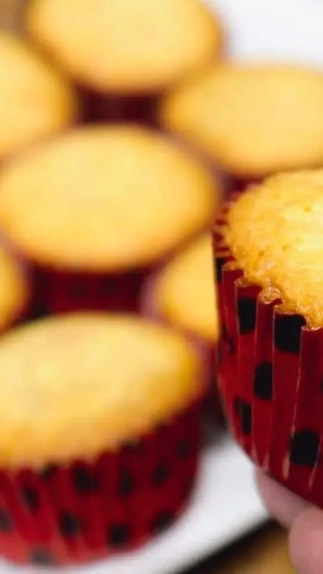 Queijadinha prática e deliciosa que agrada todo mundo e é muito fácil de fazer