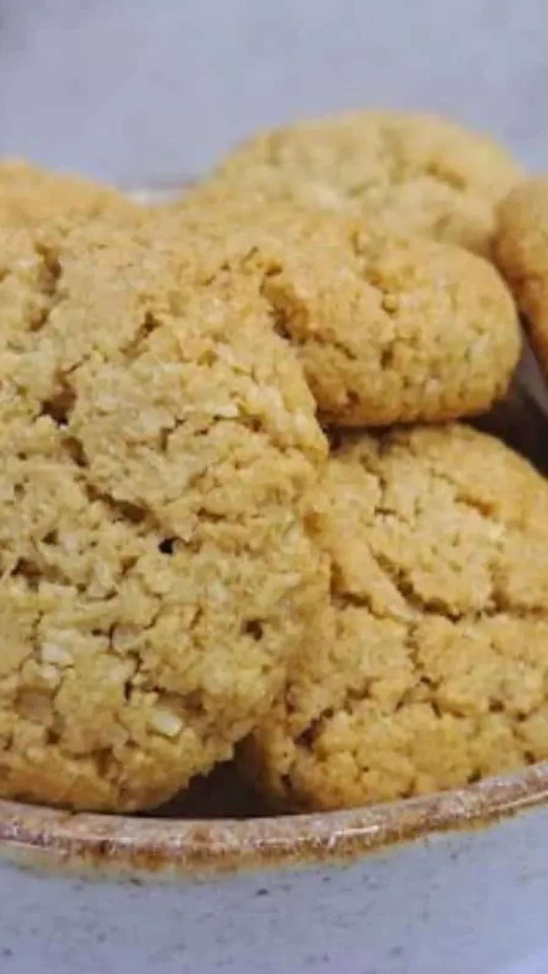 Receita de bolachinha de coco que desmancha na boca feita com aveia e sem farinha de trigo
