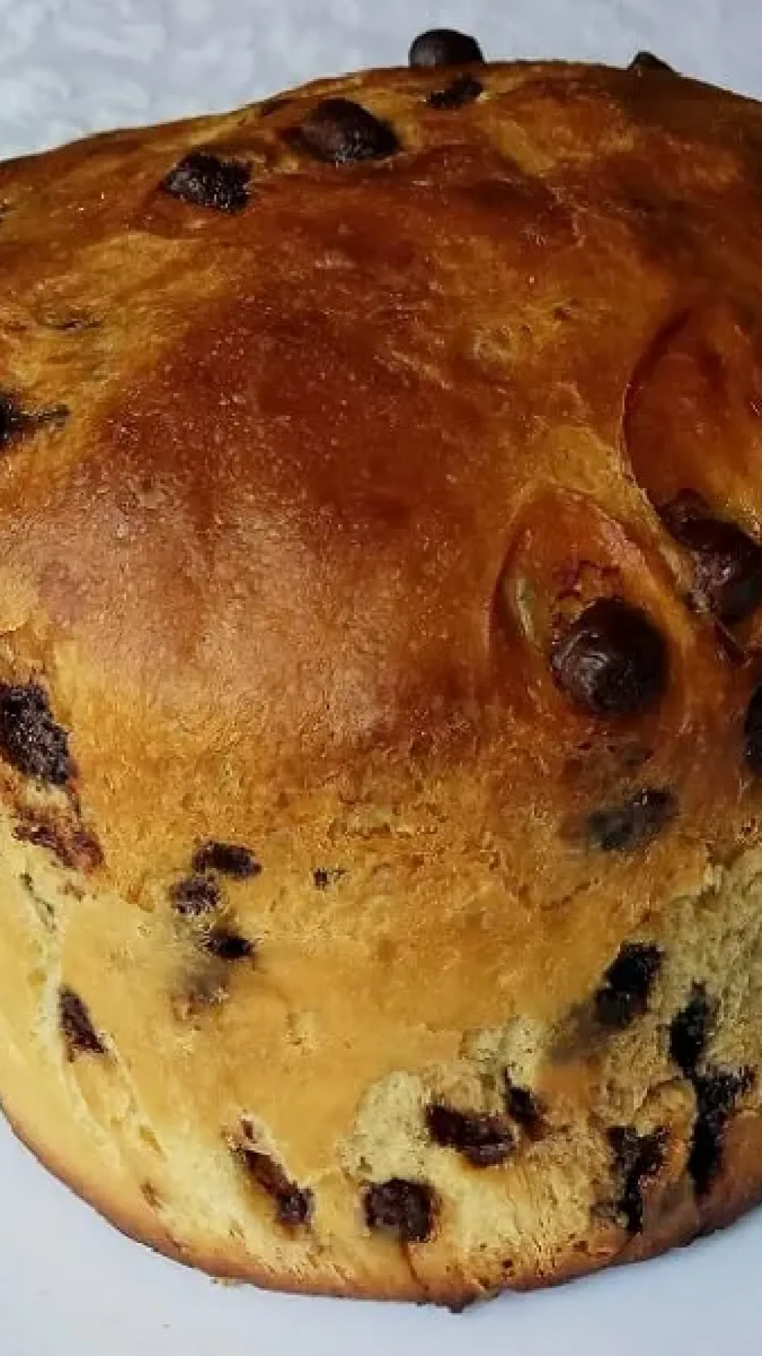 Receita de Chocotone Fofinho