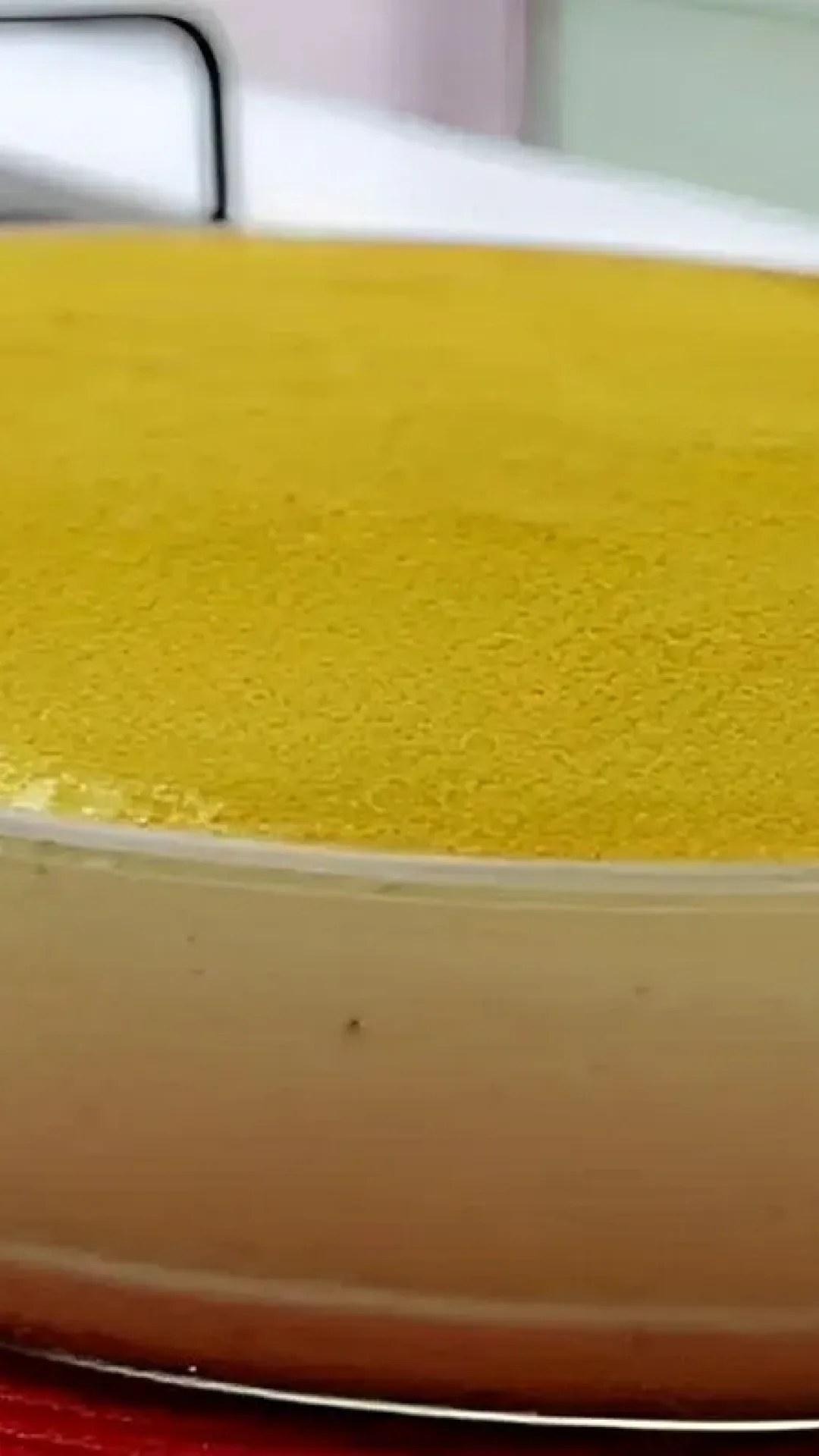 Sobremesa com 1 ingrediente muito econômica e saborosa