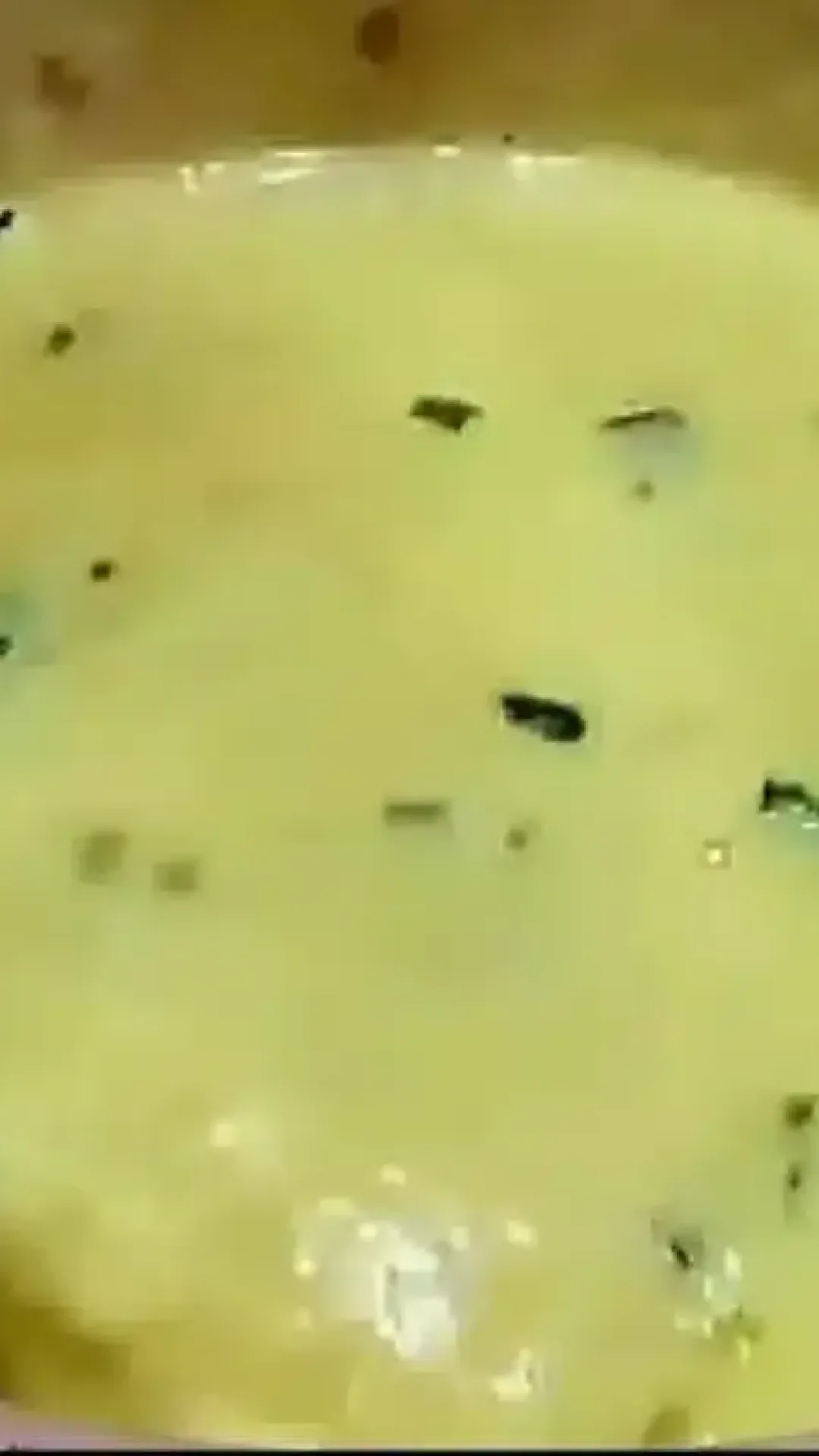 Sopa cremosa com 2 latinhas de milho que fica uma delícia para fazer agora no jantar