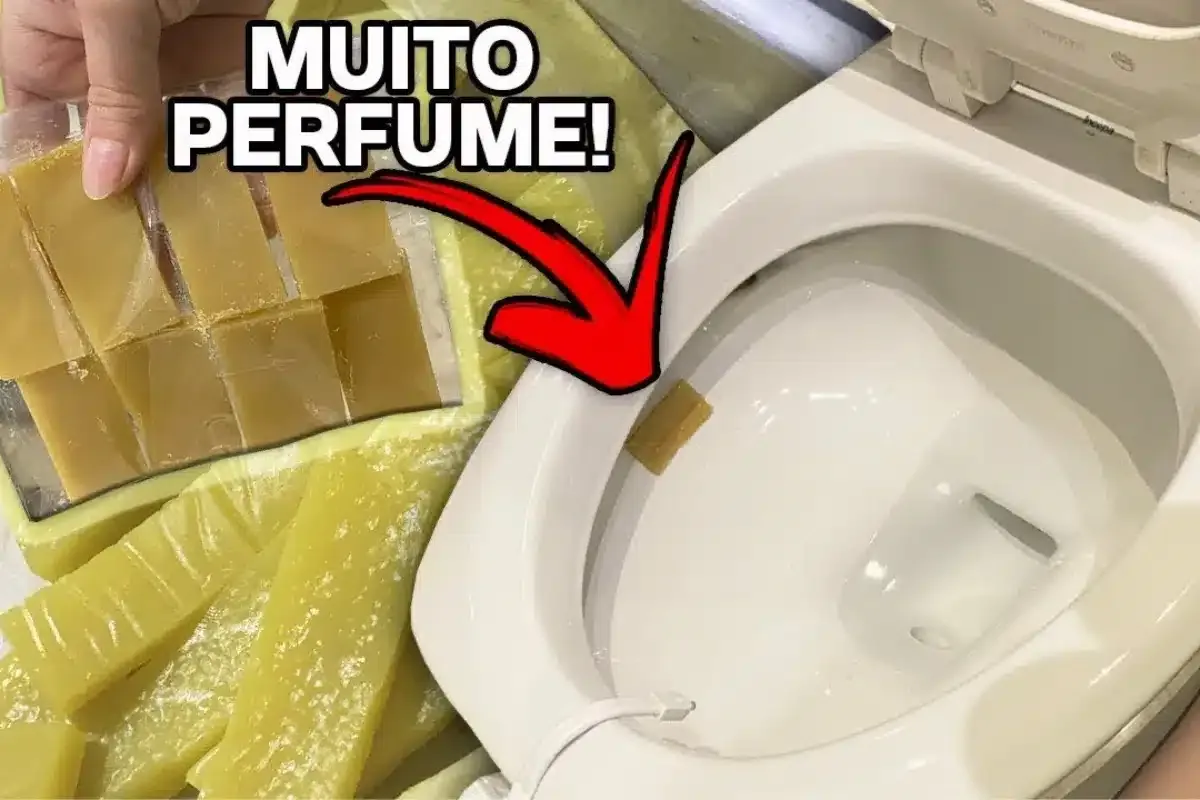 Veja como fazer pastilha sanitária caseira em grande quantidade para o mês inteiro