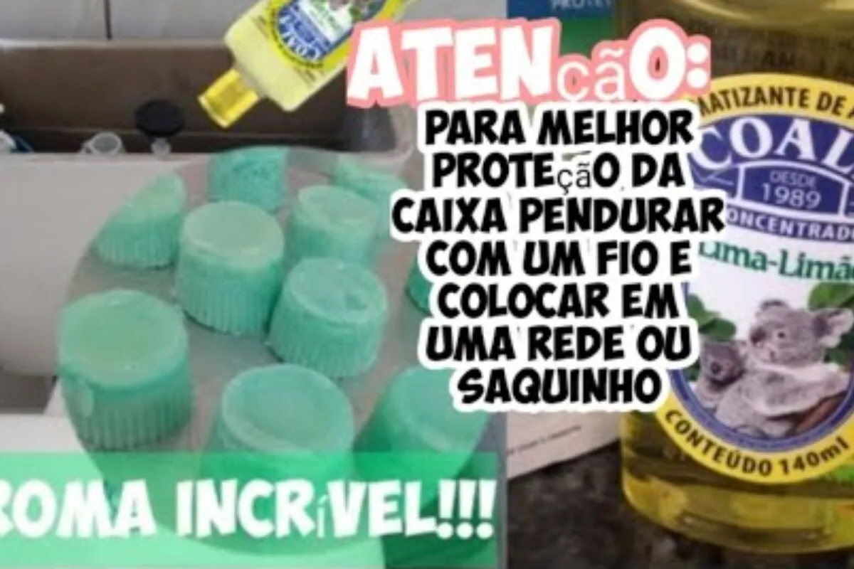 Veja como fazer pedra sanitária caseira de um jeito muito fácil e econômico